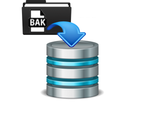 Restore SQL Database Backup - SQL Server Log Explorer - Insight Details ...